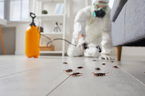 Post-Treatment Bed Bug Interceptor Monitoring in New Glarus