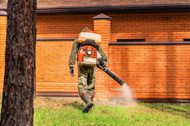 Bed Bug Clearance Verification and Documentation in New Glarus